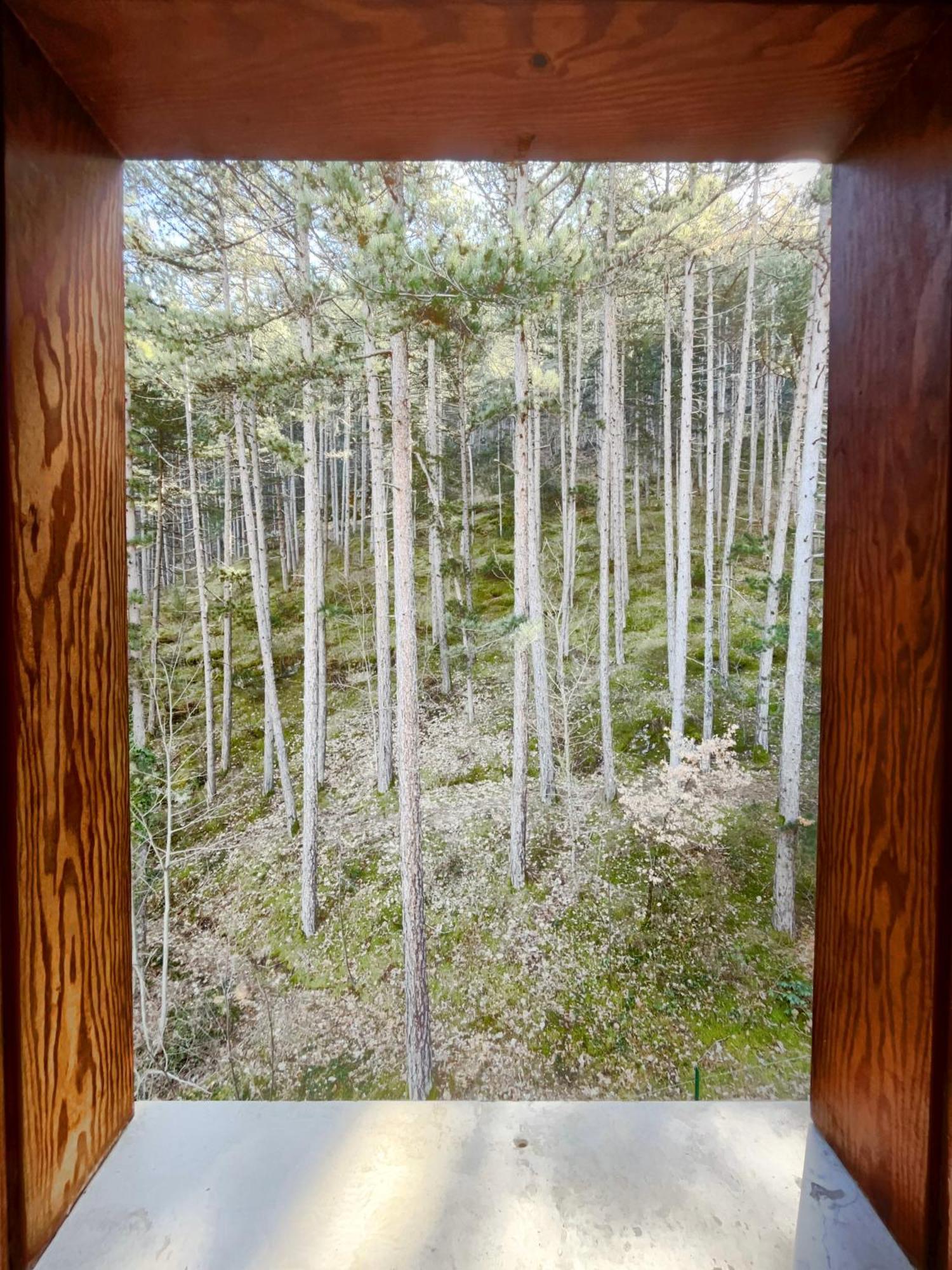Hotel Garni Mille Pini 스칸노 외부 사진